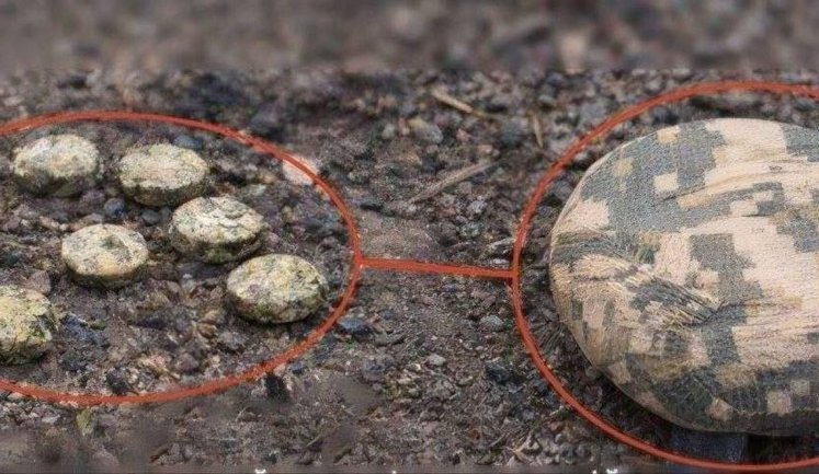 Підліток підірвався на міні на Сумщині: він у важкому стані