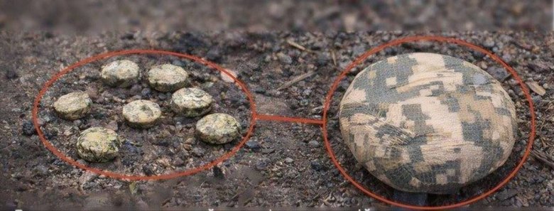 міни типу "Пряник" ("Плюшка").