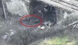 Occupiers are carrying bodies of liquidated mobilizers from their positions on carts. VIDEO