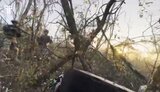 полонений