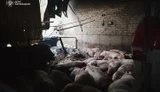 РФ завдали удару по сільськогосподарському підприємству