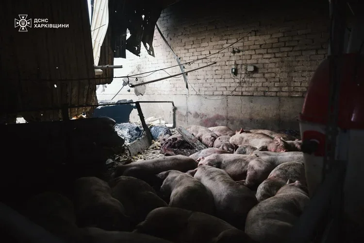 Russia strikes agricultural enterprise