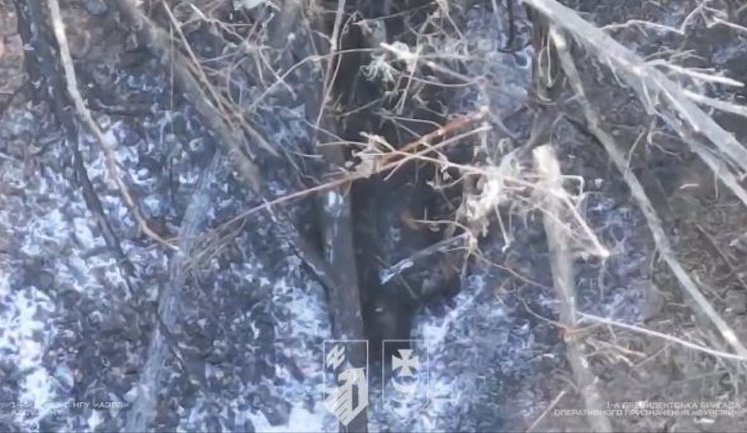 "Буревій" завдав ударів дронами на Куп’янському напрямку - знищено безпілотник, мотоцикл, укриття та п’ятьох окупантів. ВIДЕО