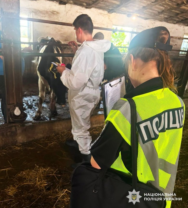 На Житомирщині через бездіяльність директора підприємства загинула худоба