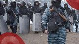 беркут