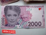 Киця Йуля