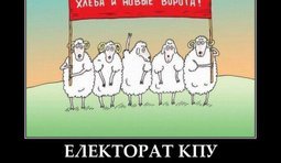 Электорат