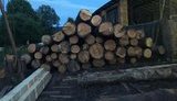 На Львовщине главный инженер лесхоза Минобороны попался на взятке 61,5 тыс. грн, - прокуратура. ФОТО