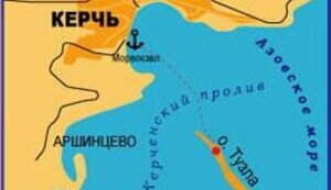 Россияне утверждают, что если не построить дамбу к острову Тузла, то можно прощаться с живностью в Азовском море