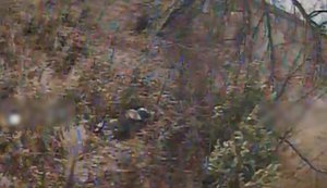 Окупант розвалився на траві, а бійці 60-ї бригади поцілили у нього дроном. ВIДЕО