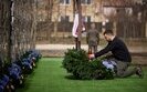 буча,зеленський