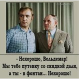 Зачем в фонтан полез?