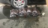 Мешканка Рівненщини намагалася таємно вивезти до Польщі 45 кг бурштину, - Держприкордонслужба. ВІДЕО+ФОТОрепортаж
