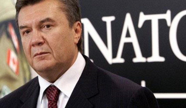 Янукович отвернулся от НАТО: вместо него на саммит поедет Грищенко