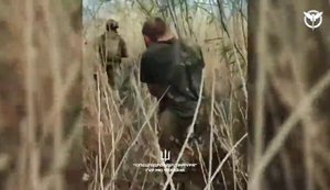 Українські розвідники за підтримки дронів знешкодили дві групи російського спецназу ГРУ. ВIДЕО