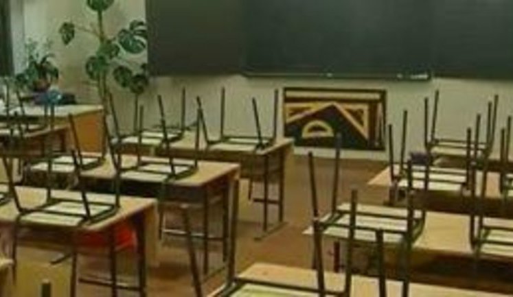 Дітей із сіл можуть частково перевести на дистанційне навчання для доступу до кращих учителів, - Гриневич
