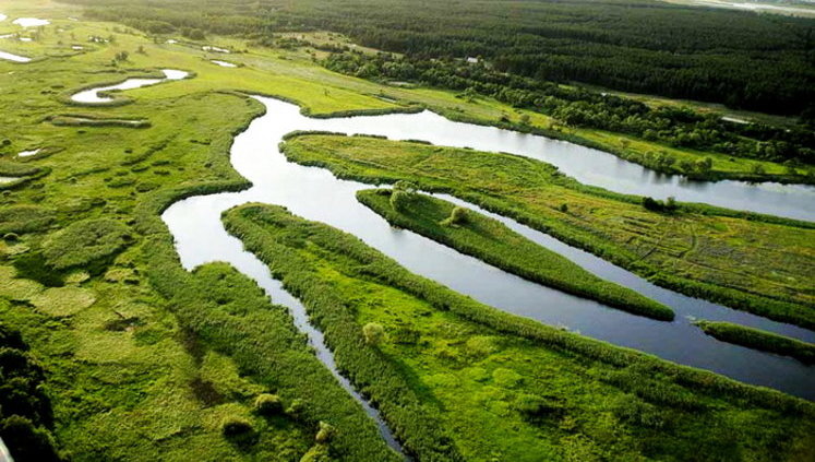 Кабмін збирається обкласти податком на землі природно-заповідного фонду