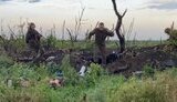 полонений