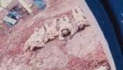 росіяни лежать рядочком