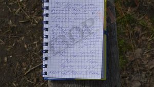 "I will leave prison on my term. Dead or alive, I have won!" - Savchenko's letter of March 7. PHOTO