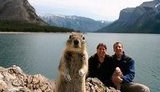 Любопытная белка стала звездой, выпрыгнув перед фотоаппаратом на таймере. ФОТО.