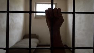 Three convicted Ukrainian citizens killed in penal colony in ‘DPR’