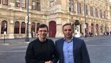 портнов