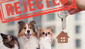 ЦІ БЛОХАСТІ ТУТ ЖИТИ НЕ БУДУТЬ!