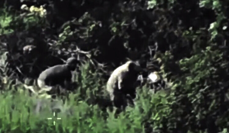 Russian logistics in Sumy region under attack by DIU warriors, enemy is howling with helplessness. VIDEO