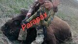 окупанти