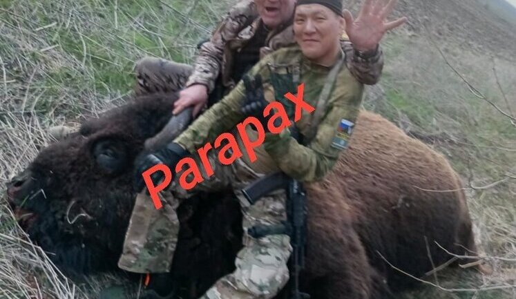 Окупанти вбили та розчленували червонокнижного зубра у заповіднику Асканія-Нова на Херсонщині. ВIДЕО