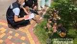 Полиция изъяла 858 кг янтаря общей стоимостью $1,2 млн на Ривненщине. ФОТОрепортаж