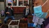 ВООЗ закликає не торгувати дикими тваринами на продовольчих ринках: можуть бути джерелом 70% нових інфекцій у людей