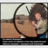 Сезон охоты на кабанов