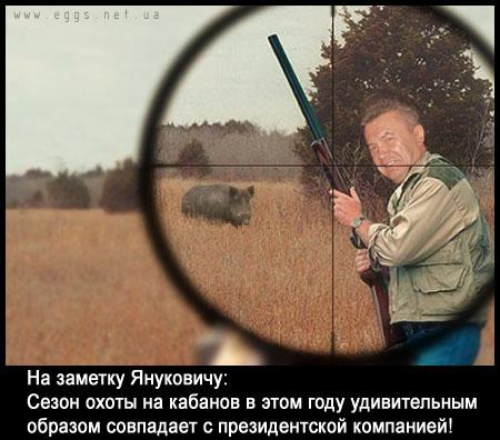 Сезон охоты на кабанов