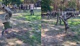 бійці,танці