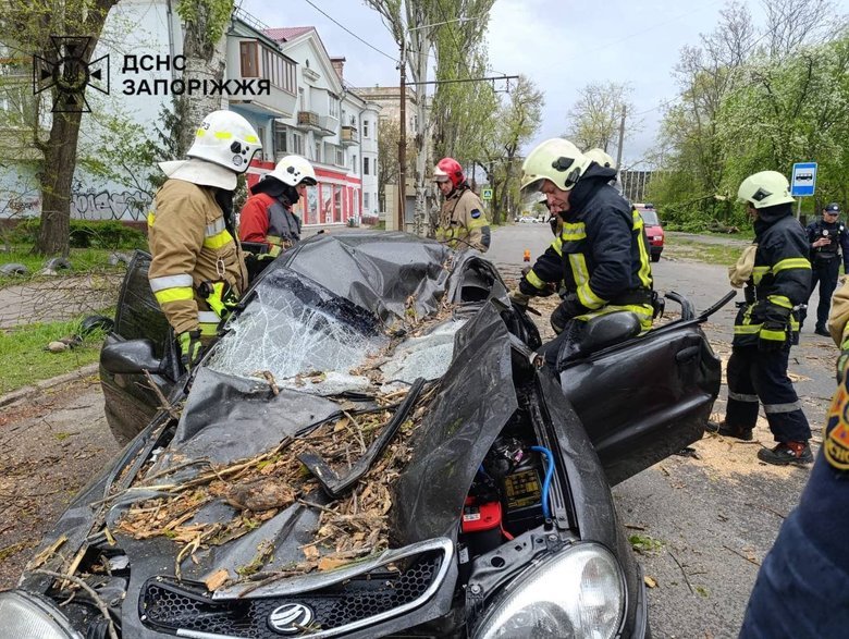 последствия непогоды