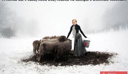 Новый электорат Тимошенко