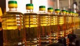Україна експортувала рекордний обсяг ріпакової олії до Європи