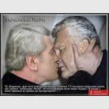 Українські тигри