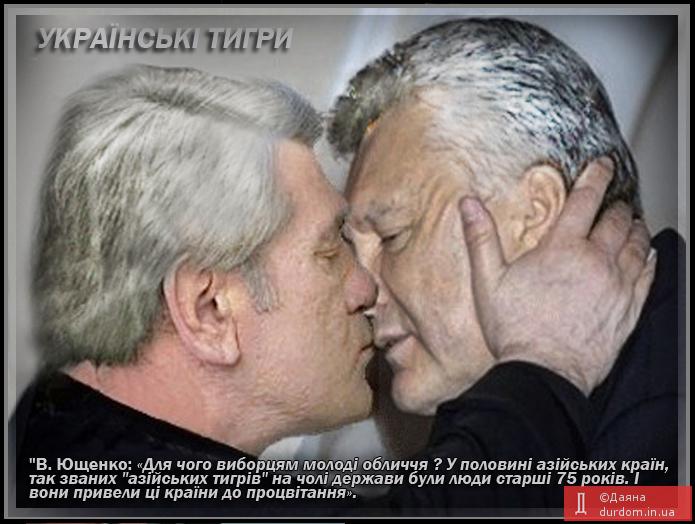 Українські тигри
