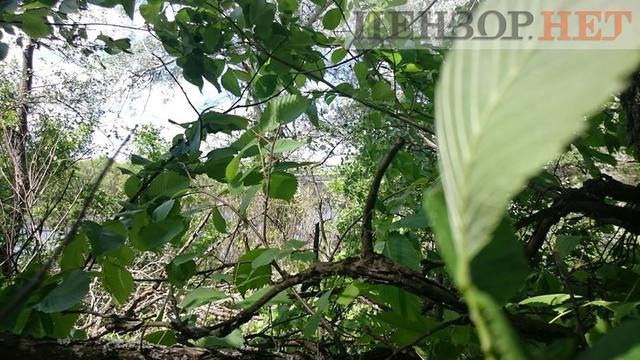 мост навигатор ерофеев