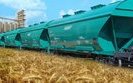 Мінагрополітики спрогнозувало рекордний урожай