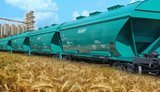 Мінагрополітики спрогнозувало рекордний урожай