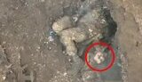 окупанту відірвало голову