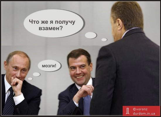 Мозги для Януковича