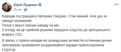 Нападение на Гандзюк будет расследовать СБУ, - Луценко 02
