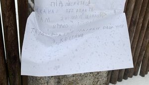 Дівчинка повісила на стовпі оголошення з рекламою свого YouTube-каналу. Тепер у неї більш ніж 7,5 тис. підписників. ВIДЕО