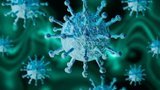 Ukraine reports 10,811 new COVID-19 cases