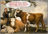 "Ось я хочу бути президентом всіх українських корів" – О. Ляшко.